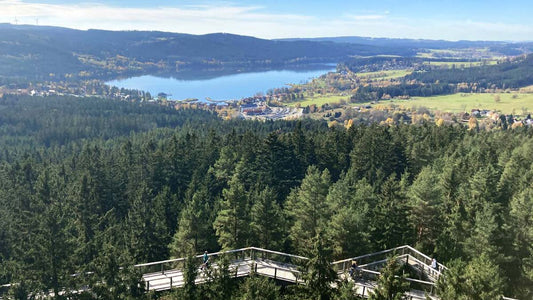 Featured View of Lipno lake
