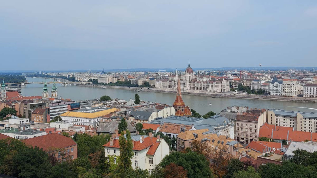 Panoramic view