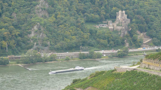 River Rhine and Castle Rheinstein