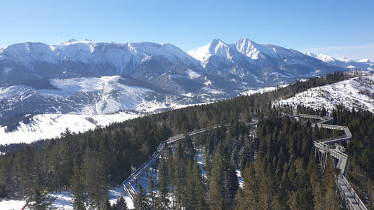 Tatras view from Bachledka Treetop