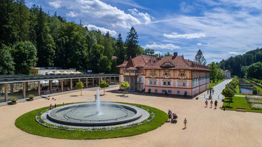 View of the park in the spa are and Hotel Jurkovicuv dum