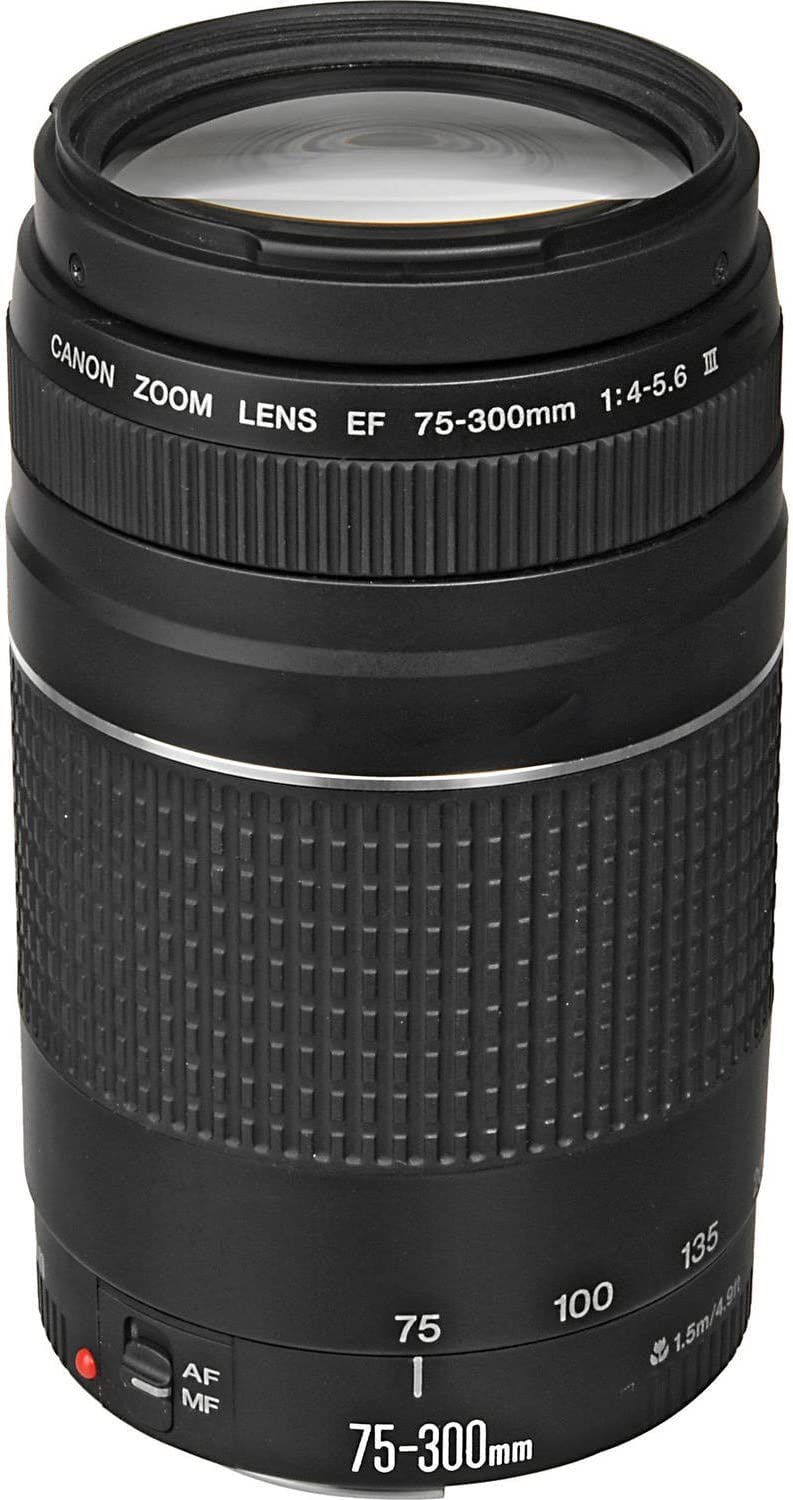 Canon EOS 2000D DSLR Camera with 18–55mm Lens | Beyond Travel Tech