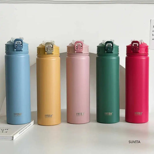 Stainless Steel Insulated Water Bottle with Straw